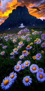 Image result for High Mountains Sunset