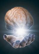 Image result for Brain in Hand