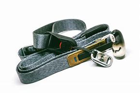 Image result for Petzl Lanyard Absorbica