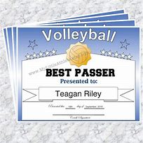 Image result for Volleyball Awards Ideas