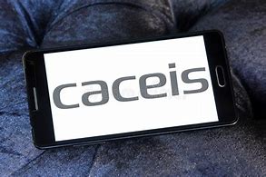Image result for CACEIS Logo