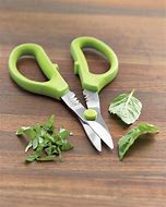 Image result for Garden Scissors