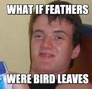 Image result for Bird Leaf Meme