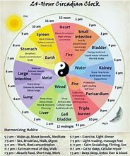 Image result for Chinese Medicine Chart