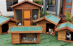 Image result for Animal House Pet