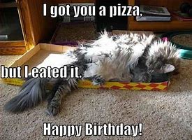Image result for Pizza Birthday Meme