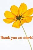Image result for Thank You so Much Meme