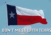 Image result for I Support Texas Meme