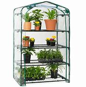 Image result for iphone 12 mini greenhouse