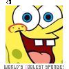 Image result for Spongebob Science Meme