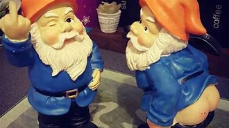 Image result for Funny Gnome Pictures