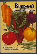 Image result for Burpee Seeds