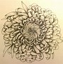 Image result for Chrysanthemum Flower Drawing