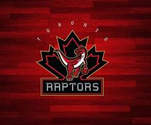 Image result for Raptors Team