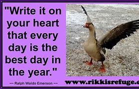 Image result for Make Today the Best Day Ever