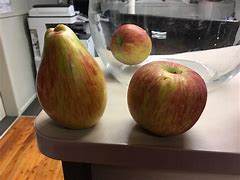 Image result for Apple Shaped Pear