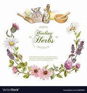 Image result for Herbs Roll Up Banner