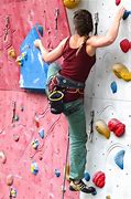 Image result for Hooks Used for Rock Climbing