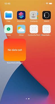 Image result for iPhone 12 Widgets
