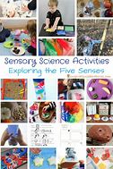 Image result for Science and Sensory Items