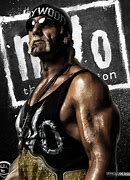 Image result for Hollywood Hulk Hogan WCW