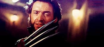 Image result for Wolverine Picture Meme Generator