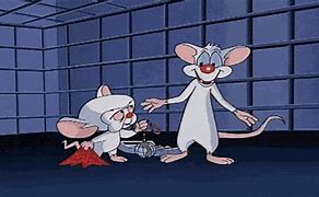 Image result for Pinky and Brain Cartoon Characters