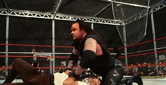 Image result for Undertaker Mankind Hell in a Cell