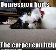 Image result for Therapy Cat Meme
