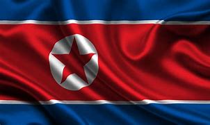 Image result for Korean Flag Background