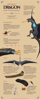 Image result for Could Dragons Have Existed