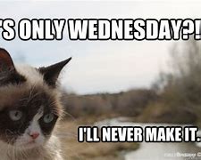 Image result for Grumpy Cat Wednesday Meme