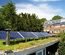 Image result for Green Roof and Solar Panels