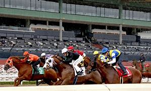 Image result for Di Haine Horse Racing