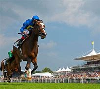 Image result for Is There Horse Racing at Goodwood