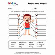 Image result for Learning Body Parts Worksheet