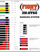 Image result for Brazilian Jiu Jitsu Grades