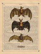 Image result for Bats Halloween Book Home