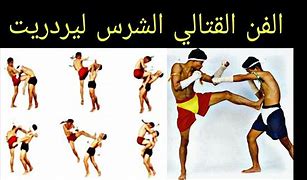 Image result for Lerdrit Martial Arts