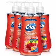 Image result for Dial Hand Soap