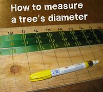 Image result for Tree Diameter Chart