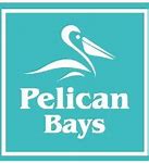 Image result for Pelican Kayak Logo