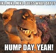Image result for Over the Hump Meme