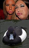 Image result for Funny Duck Face Meme