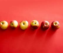 Image result for Three Apples On Branch Stock-Photo