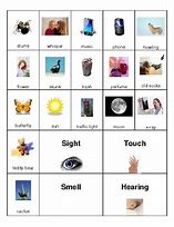 Image result for Five Senses Sorting Activity