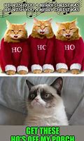 Image result for Cat Memes Got