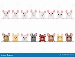 Image result for Tooth Mouse Border