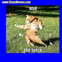 Image result for Creative Cat Meme