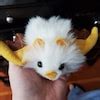 Image result for Honduran White Bat Cute